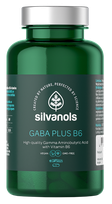 SILVANOLS Gaba Plus B6 capsules, 90 pcs.