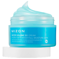 MIZON Water Volume EX face cream, 230 ml