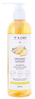 T-LAB Ginger Anti Hair Loss shampoo, 250 ml
