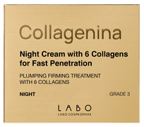 COLLAGENINA With 6 Collagens, Grade 3, Night sejas krēms, 50 ml