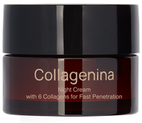 COLLAGENINA With 6 Collagens, Grade 2, Night sejas krēms, 50 ml