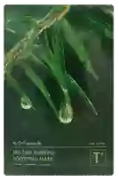 DR.CEURACLE Tea Tree Purifine auduma sejas maska, 1 gab.