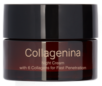 COLLAGENINA With 6 Collagens, Grade 3, Night face cream, 50 ml