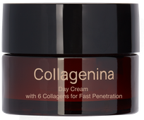 COLLAGENINA With 6 Collagens, Grade 3, Day face cream, 50 ml