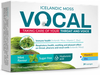 VOCAL  Ha Mint Flavour lozenges, 24 pcs.