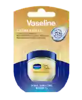VASELINE  Brulee lūpu balzams, 7 g