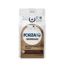 FORZA10 Active Vetdiet Cat Intestinal Colon, Kaķiem sausā barība, 400 g