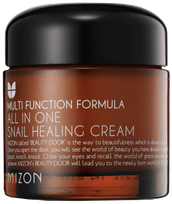 MIZON All in One sejas krēms, 75 ml