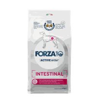 FORZA10 Activevetdiet Intestinal, Suņiem sausā barība, 4 kg