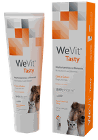 WEPHARM WeVit паста, 100 г