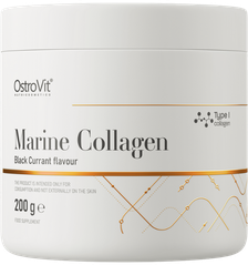 OSTROVIT Marine Collagen Black Currant, juodųjų serbentų milteliai, 500 g