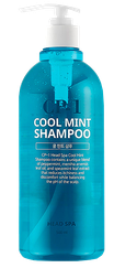 CP-1 Head Spa Cool Mint šampūns, 500 ml