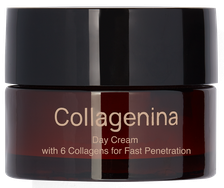 COLLAGENINA With 6 Collagens, Grade 2, Day sejas krēms, 50 ml
