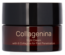 COLLAGENINA With 6 Collagens, Grade 3, Night sejas krēms, 50 ml