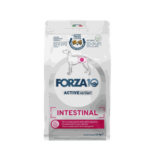 FORZA10 Active VetDiet Intestinal, šunims sausas pašaras, 1.5 kg