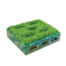 CATSTAGES Grass Patch Hunting Box, Zaļa, S rotaļlieta, 1 gab.