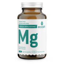 ECOSH bioaktyvus Magnis,malatas 77mg N90 LT