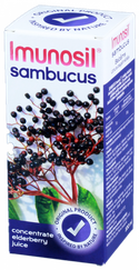 IMUNOSIL Sambucus balzams, 100 ml