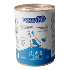 FORZA10 Maintenance Lasis Ar Rīsiem, Suņiem mitrā barība, 400 g