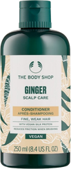 THE BODY SHOP Ginger Scalp Care matu kondicionieris, 250 ml