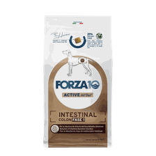 FORZA10 Active Vetdiet Intestinal Colon Fase 1, Suņiem sausā barība, 4 kg