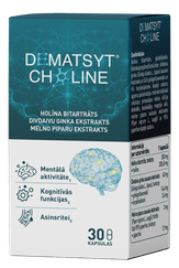 DEMATSYT CHOLINE kapsulas, 30 gab.