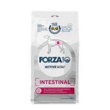 FORZA10 Activevetdiet Intestinal, Suņiem sausā barība, 4 kg