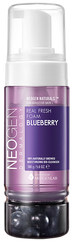 NEOGEN Dermalogy Real Fresh Foam - Blueberry attīrošas putas, 160 g