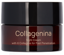 COLLAGENINA With 6 Collagens, Grade 2, Night sejas krēms, 50 ml