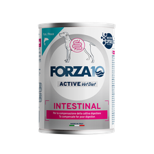 FORZA10 Active VetDiet Intestinal Zivs, Suņiem mitrā barība, 390 g