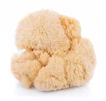 Lion's Mane: Prātam un koncentrēšanās spējām