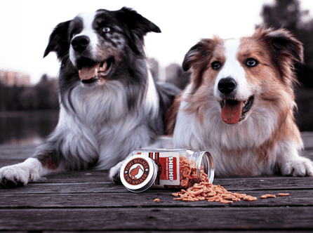 KIWI WALKER Shrimps, Freeze-dried treat, 50 g