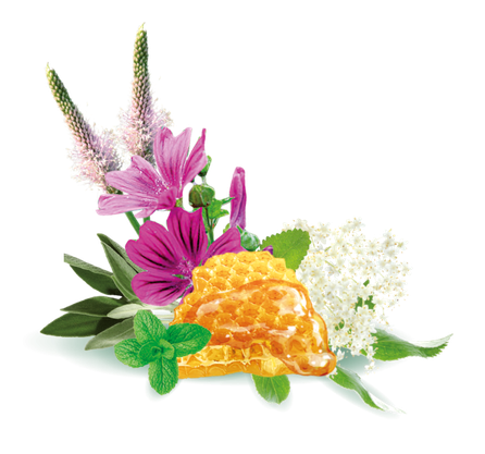 ALPENBAUER BIO 20 Krauter konfektes, 90 g
