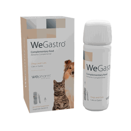 WEPHARM WeGastro For Oral Use liquid, 60 ml