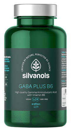 SILVANOLS Gaba Plus B6 kapsulas, 90 gab.
