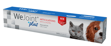 WEPHARM WeJoint Plus paste, 30 ml