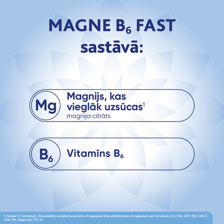 MAGNE B6 Fast (Magnijs) sachets, 20 pcs.