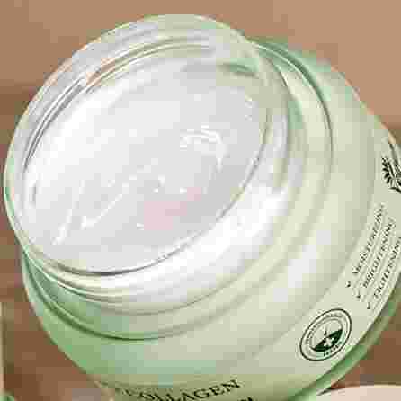 MIZON Phyto Plump Collagen dienas sejas krēms, 50 ml