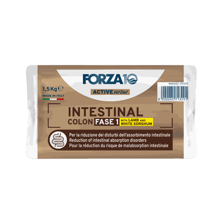 FORZA10 Active Vetdiet Intestinal Colon Fase 1 Ar Jēru/Sorgo, Suņiem sausā barība, 1.5 kg