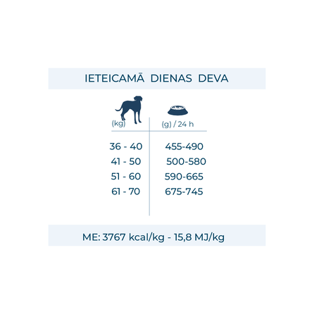 FORZA10 Monodiet Maxi Adult Ar Zivi, Suņiem sausā barība, 12 kg