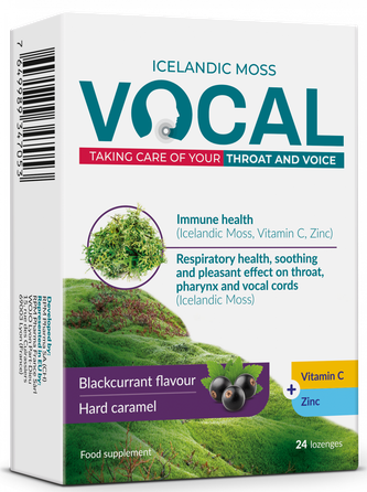 VOCAL  Blackcurrant пастилки, 24 шт.