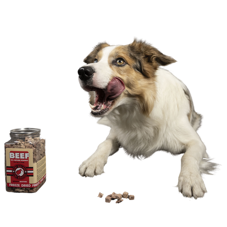KIWI WALKER Goose Liver, Freeze-Dried treat, 120 g