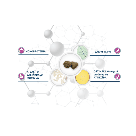 FORZA10 Active Vetdiet Cat Hypoallergenic, Kaķiem sausā barība, 1.5 kg