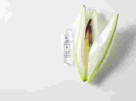 DR.HAUSCHKA  Renew & Activate Ampoules (2 ml) ampoules, 28 pcs.