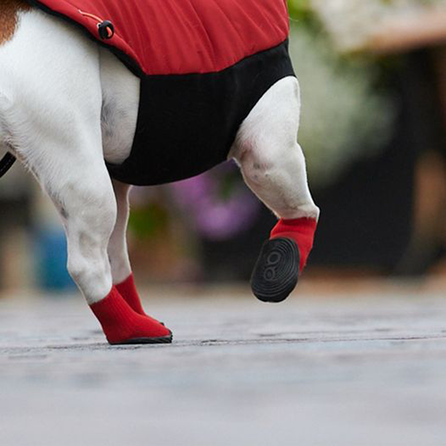 GOO-EEZ Basic, Красные, 2XS ботинки для собак, 4 шт.