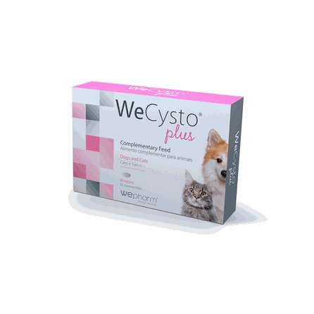 WEPHARM WeCysto Plus pills, 30 pcs.