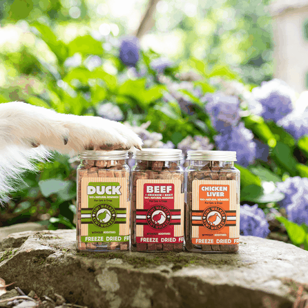 KIWI WALKER Duck, Freeze-dried treat, 80 g