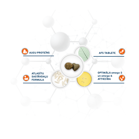 FORZA10 Active Vetdiet Cat Urinary, Kaķiem sausā barība, 1.5 kg