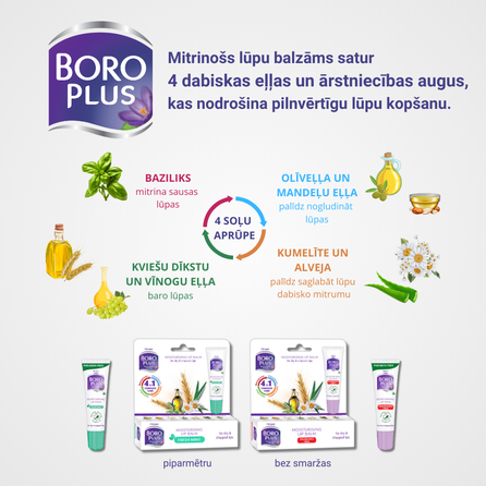 BORO PLUS Healthy Skin Fresh Mint lip balm, 10 ml