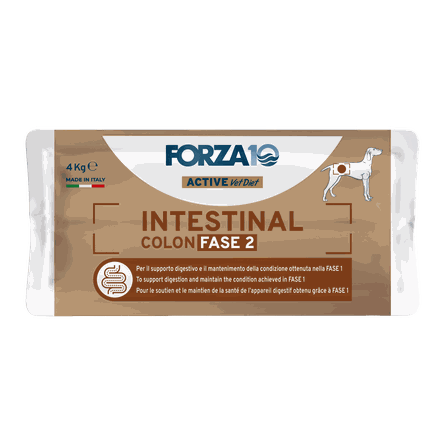 FORZA10 Active Vetdiet Intestinal Colon Fase 2, Suņiem sausā barība, 4 kg
